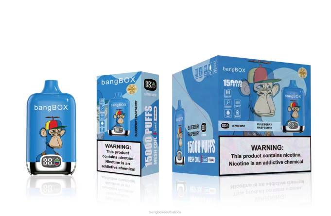 Bang Box South Africa - BPX046 Bang Box 15000 Puffs Blueberry Raspberry