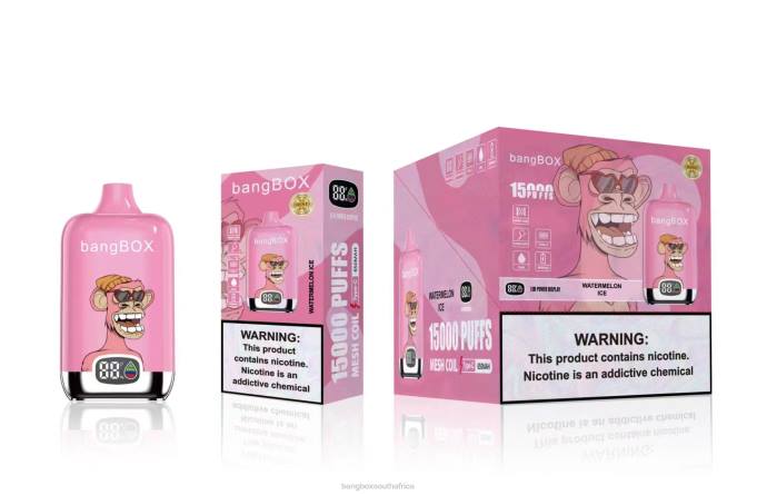 Bang Box Vape Price - BPX045 Bang Box 15000 Puffs Watermelon Ice