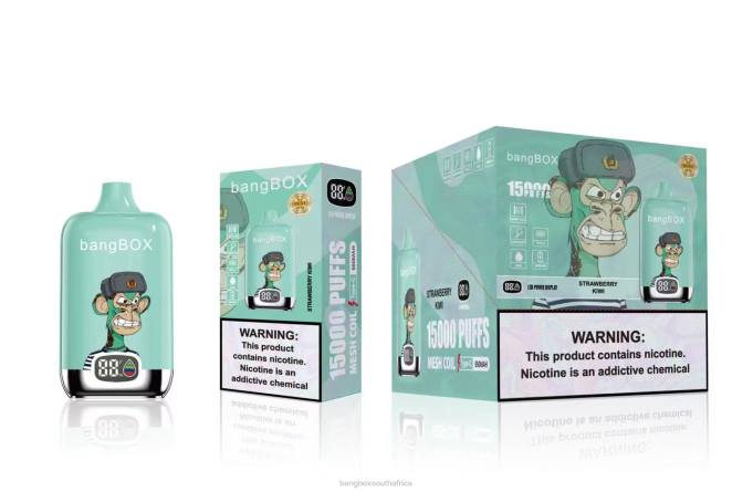Bang Box Vape Review - BPX039 Bang Box 15000 Puffs Strawberry Kiwi