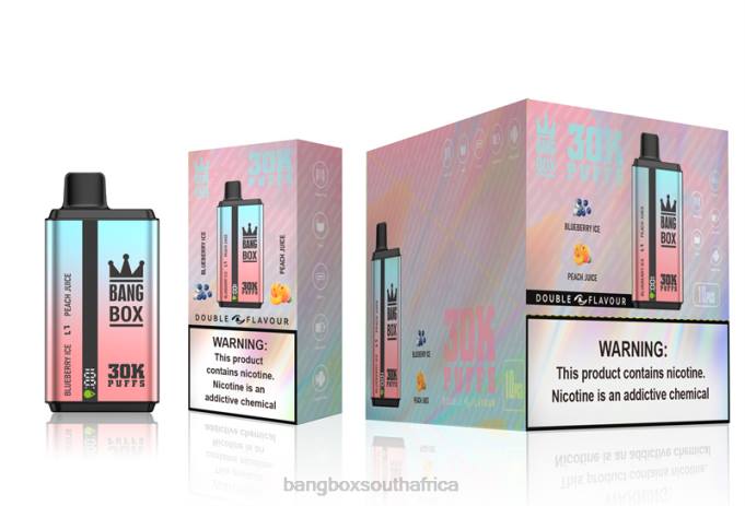 Bang Box Vape - BPX063 Bang Box 30000 Puffs Dual Flavors Blueberry Ice & Peach Juice