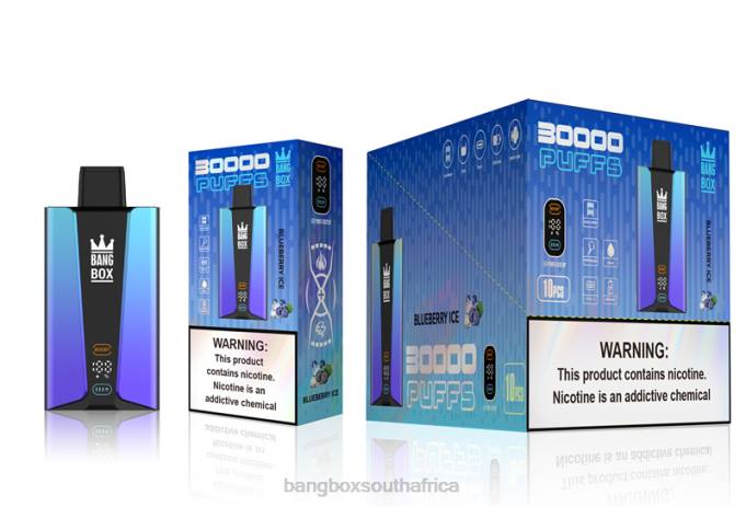 Bang Box Vape Review - BPX079 Bang Box 30000 Puffs Smart Screen Blueberry Ice